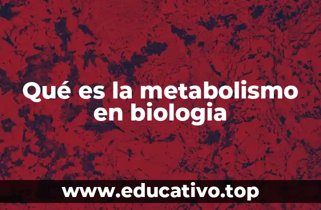 Qué es la metabolismo en biologia