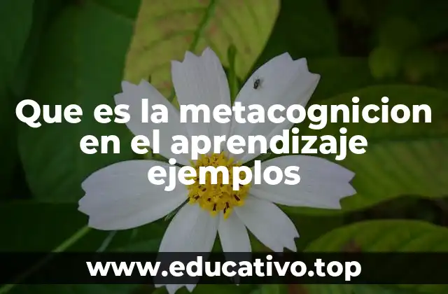 Que es la metacognicion en el aprendizaje ejemplos