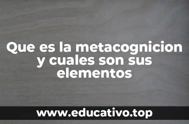 Que es la metacognicion y cuales son sus elementos