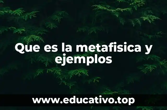Que es la metafisica y ejemplos
