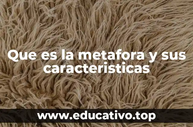 Que es la metafora y sus caracteristicas
