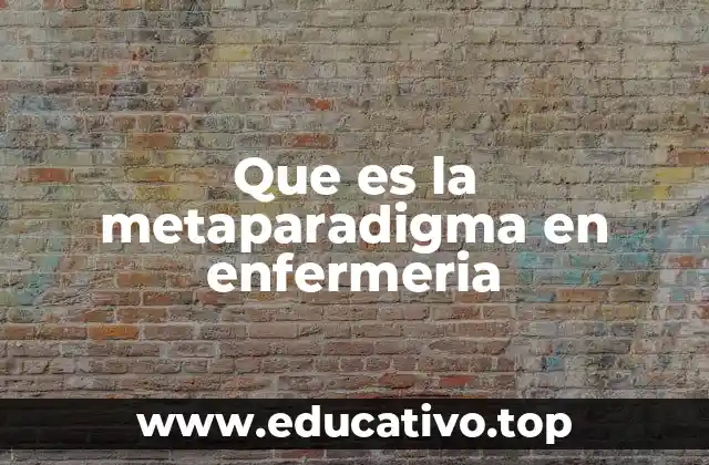 Que es la metaparadigma en enfermeria