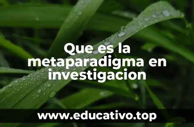 Que es la metaparadigma en investigacion