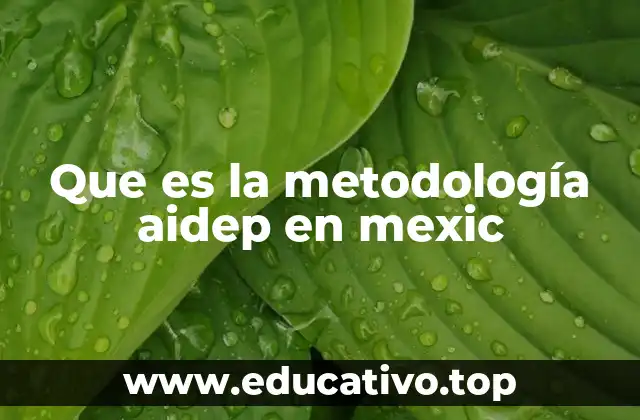 Que es la metodología aidep en mexic