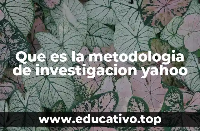 Que es la metodologia de investigacion yahoo