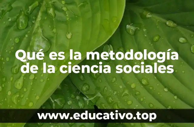 Qué es la metodología de la ciencia sociales