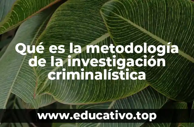 Qué es la metodología de la investigación criminalística