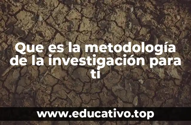 Que es la metodología de la investigación para ti