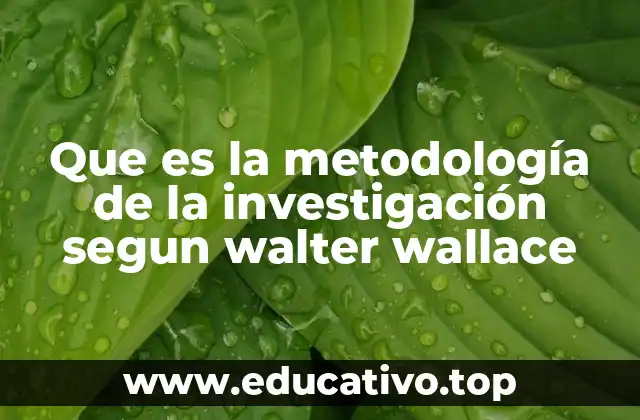 Que es la metodología de la investigación segun walter wallace