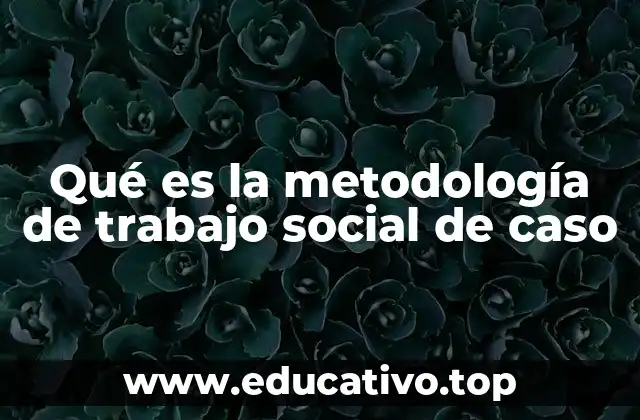 Qué es la metodología de trabajo social de caso