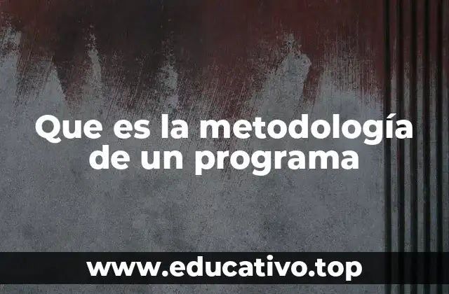 Que es la metodología de un programa