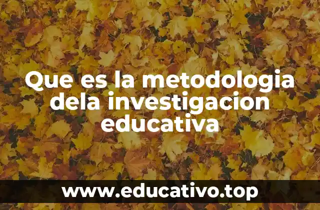 Que es la metodologia dela investigacion educativa