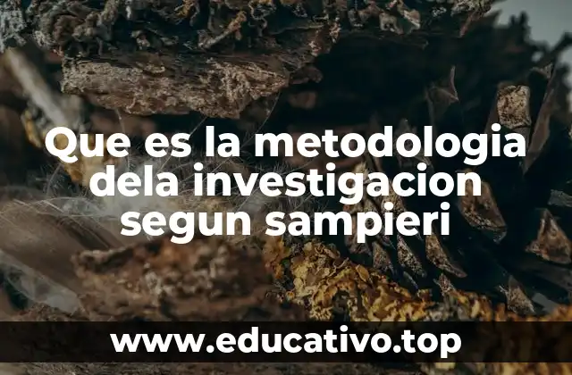 La importancia de una metodología clara en la investigación