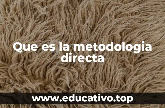 Que es la metodologia directa