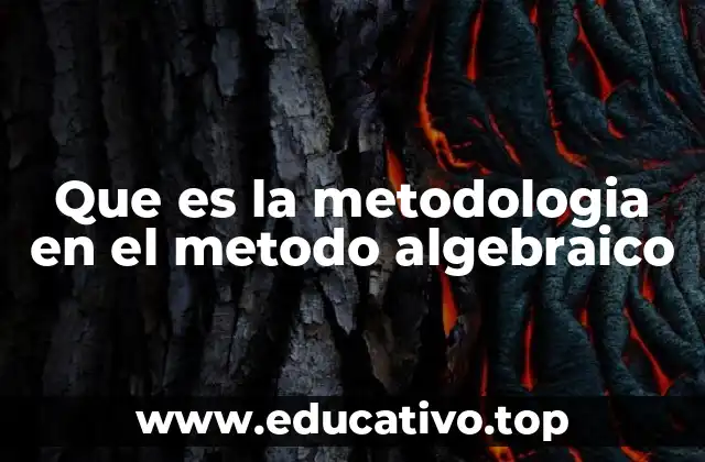 Que es la metodologia en el metodo algebraico