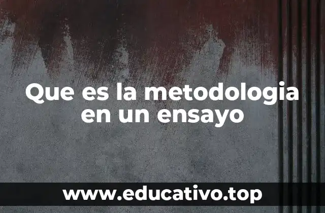 Que es la metodologia en un ensayo