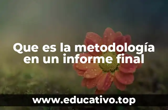 Que es la metodología en un informe final