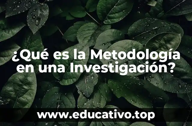 La Importancia de la Metodología en una Investigación
