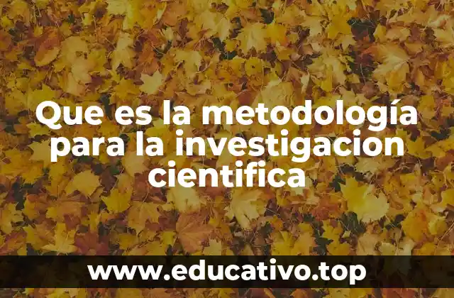 Que es la metodología para la investigacion cientifica