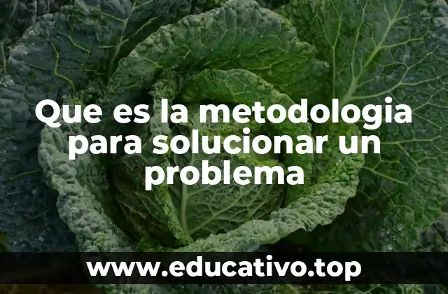 El enfoque estructurado para resolver problemas