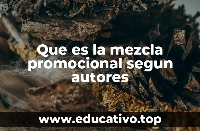 Que es la mezcla promocional segun autores