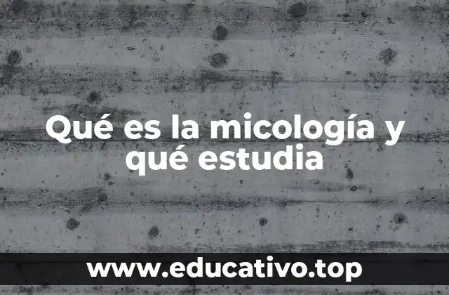 Qué es la micología y qué estudia