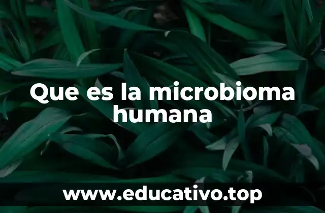 Que es la microbioma humana