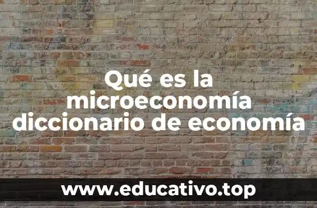 Qué es la microeconomía diccionario de economía