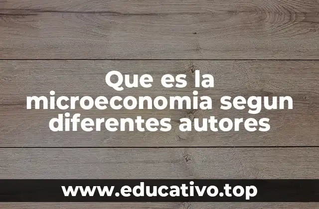 Que es la microeconomia segun diferentes autores