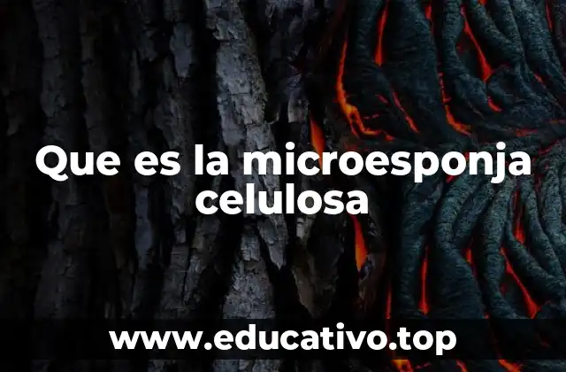 Que es la microesponja celulosa
