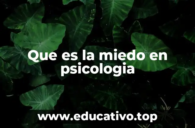 Que es la miedo en psicologia
