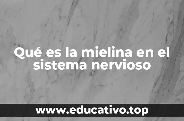 Qué es la mielina en el sistema nervioso
