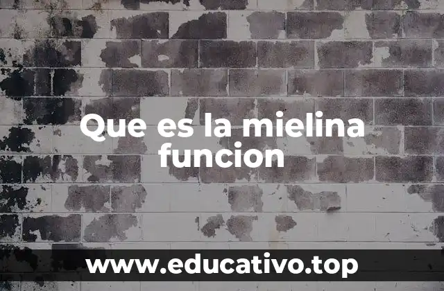 Que es la mielina funcion