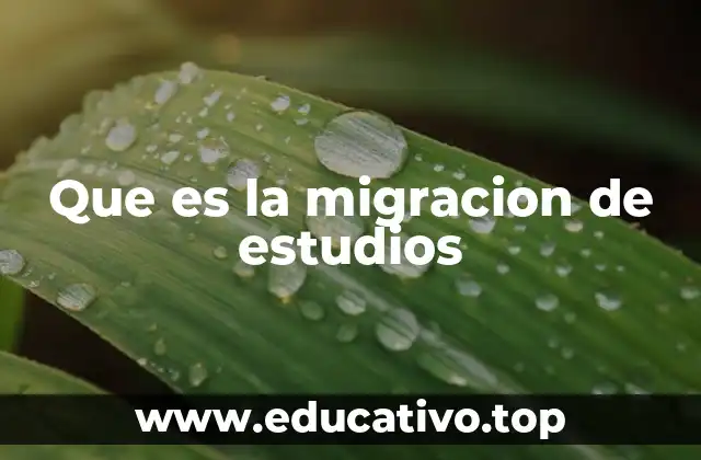 Que es la migracion de estudios