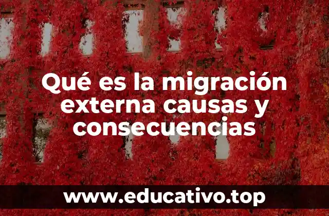 Qué es la migración externa causas y consecuencias