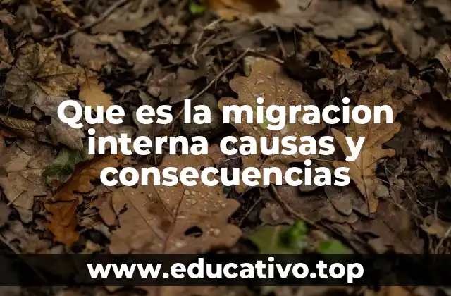 Que es la migracion interna causas y consecuencias