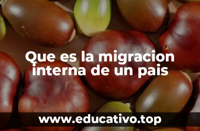 Que es la migracion interna de un pais