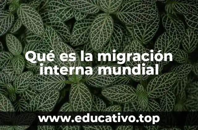 Qué es la migración interna mundial