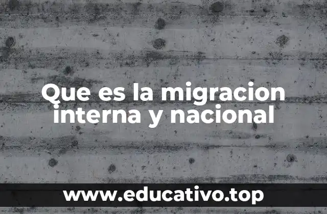 Que es la migracion interna y nacional