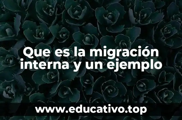 Que es la migración interna y un ejemplo