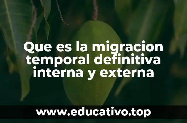 Que es la migracion temporal definitiva interna y externa