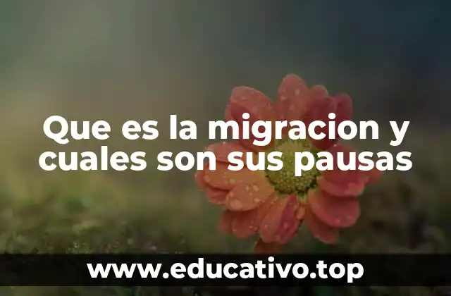 Que es la migracion y cuales son sus pausas