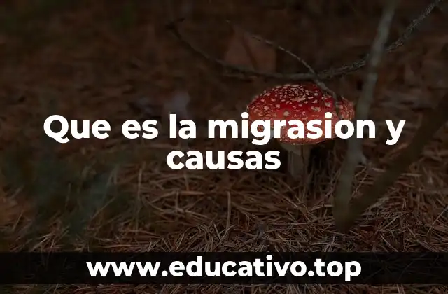 Que es la migrasion y causas