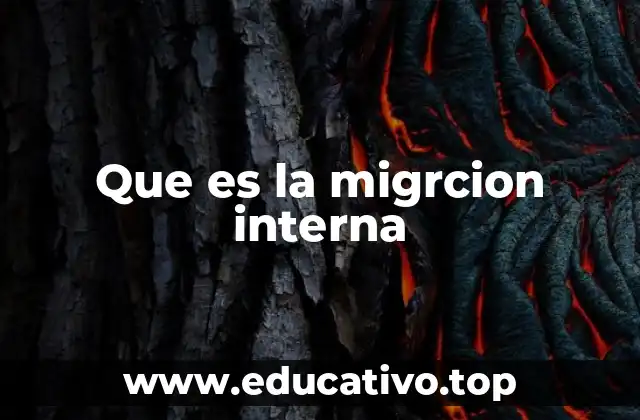Que es la migrcion interna