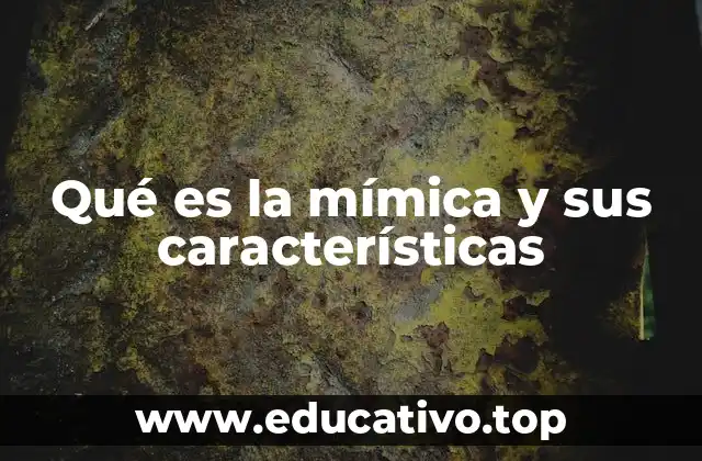 Qué es la mímica y sus características
