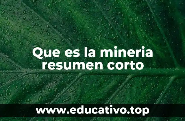 Que es la mineria resumen corto