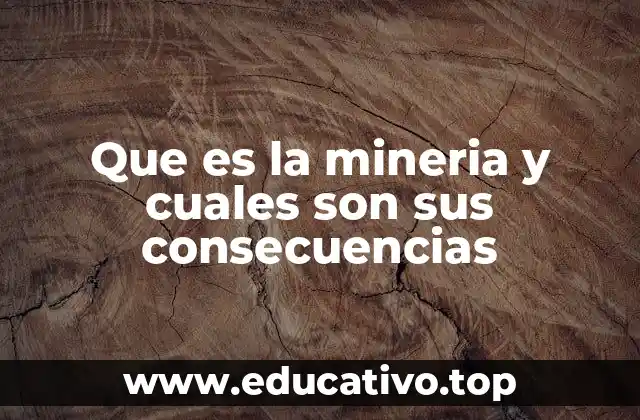 Que es la mineria y cuales son sus consecuencias