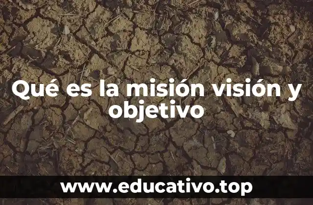 Qué es la misión visión y objetivo
