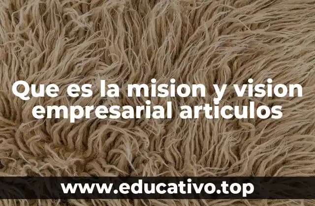 Que es la mision y vision empresarial articulos
