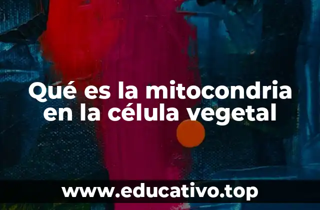 Qué es la mitocondria en la célula vegetal